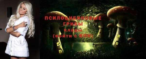 хмурый Аркадак