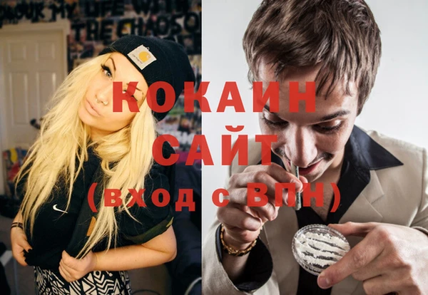 ешки Арсеньев