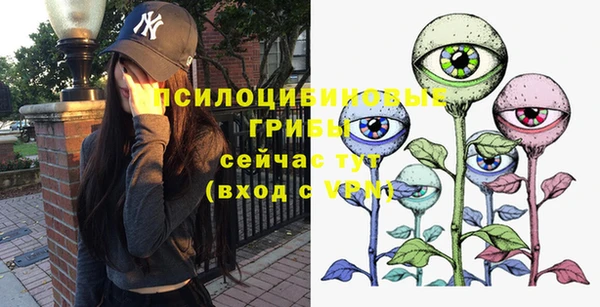 хмурый Аркадак