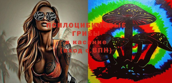 бошки Баксан