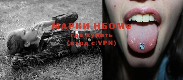хмурый Аркадак