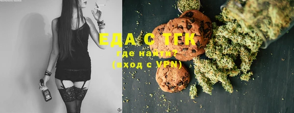 хмурый Аркадак
