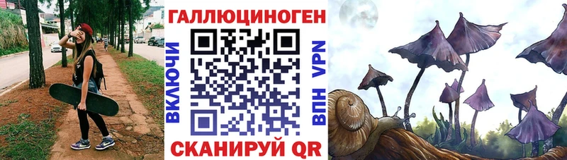 Галлюциногенные грибы Psilocybine cubensis  Чебаркуль 